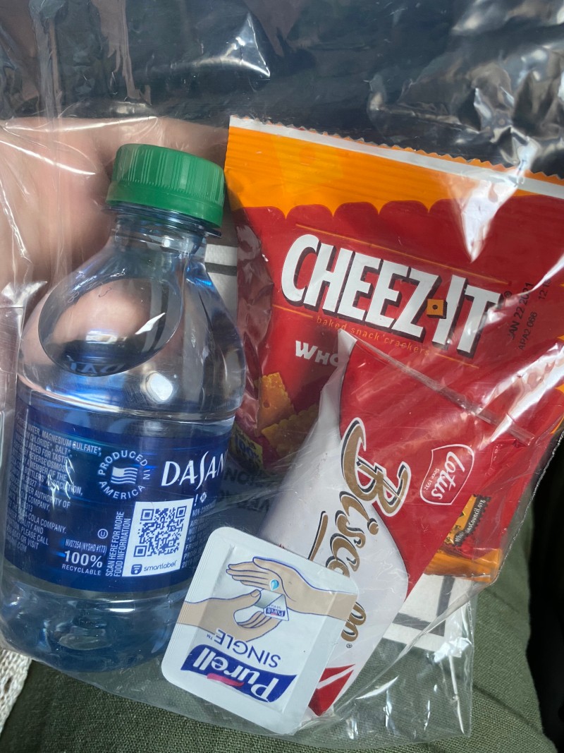 Our snack baggie from Delta filled with water, a napkin, cheez-it, Biscoff cookies and a Purell wipe