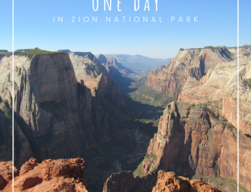 One Day in Zion National Park