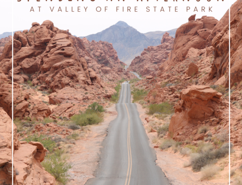 Spending an Afternoon at Valley of Fire State Park