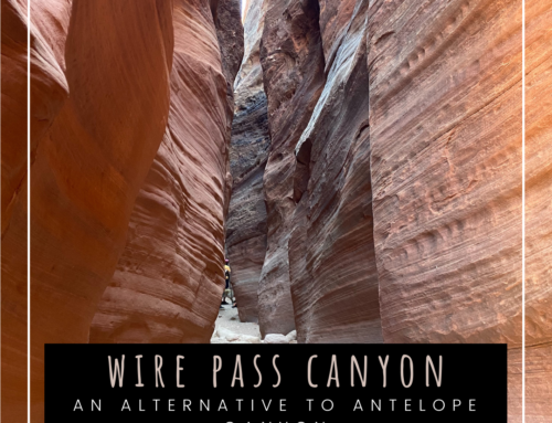 Visiting Wire Pass Canyon